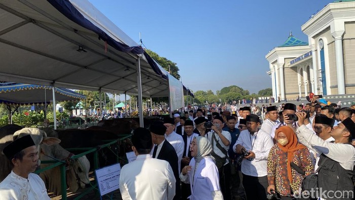 Warga melihat sapi kurban di Masjid Al-Akbar Surabaya.