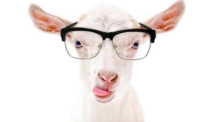 Buka-bukaan Alasan Nge-war Torpedo, FOMO atau Beneran Dongkrak Libido?