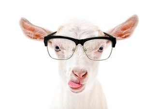 Buka-bukaan Alasan Nge-war Torpedo, FOMO atau Beneran Dongkrak Libido?