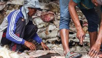Pengepul kulit hewan kurban banyak dijumpai di kawasan itu saat Hari Raya Idul Adha yang membeli kulit hewan kurban dari masyarakat dengan harga Rp6 ribu per kilogram untuk kulit sapi, Rp25 ribu per lembar untuk kulit kambing dan Rp35 ribu per lembar untuk kulit domba. 