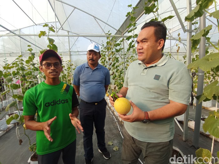Agrowisata Girli Farm di Desa Sumberejo, Japah, Blora milik Adi Latif Mashudi