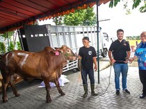 Berbagi Kebahagiaan Lewat Berkurban di Momen Idul Adha