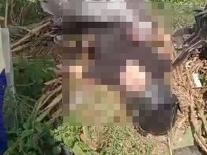 Bule Italia Tewas Tabrak Mobil di Banyuwangi Ternyata Suami Warga Lokal