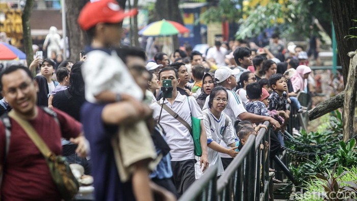 Cuti Bersama Idul Adha, Pengunjung Kebun Binatang Ragunan Melonjak Sejumlah pengunjung menyaksikan berbagaiΒ koleksiΒ hewan di Taman Margasatwa Ragunan, Jakarta, Selasa (18/6/2024).