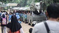 Sementara beberapa lainnya berjalan keliling melihat satwa yang ada. Banyak yang berkeliling menggunakan sepeda listrik.