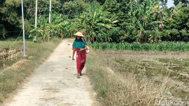 Dukuh Pencol Tuban yang justru lebih dekat diakses dari Bojonegoro.
