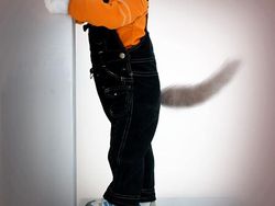 Gambaran Hewan Berperilaku dan Berpakaian Manusia, Aneh atau Lucu?