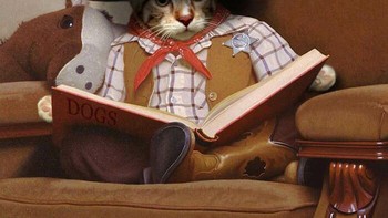 Bentar deh, itu judul bukunya Dogs? Kira-kira apa isi bukunya ya. Foto: (Bored Panda).