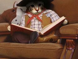 Gambaran Hewan Berperilaku dan Berpakaian Manusia, Aneh atau Lucu?