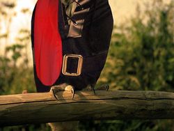 Gambaran Hewan Berperilaku dan Berpakaian Manusia, Aneh atau Lucu?