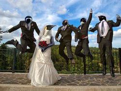 Gambaran Hewan Berperilaku dan Berpakaian Manusia, Aneh atau Lucu?