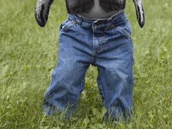 Gambaran Hewan Berperilaku dan Berpakaian Manusia, Aneh atau Lucu?