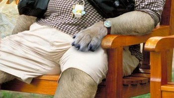 Sepertinya anjing satu ini tengah menghadapi hari yang buruk. Foto: (Bored Panda).