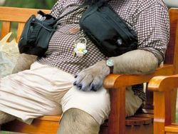 Gambaran Hewan Berperilaku dan Berpakaian Manusia, Aneh atau Lucu?