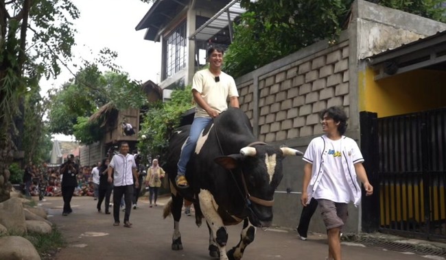 Irfan Hakim juga tak mau kalah dengan sapi jumbonya. Sebelum Idul Adha, ia sempat membuat konten yang memperlihatkan dirinya bergaya kasual saat menunggang sapi tersebut. Tahun ini alhamdulillah menemukan beberapa ekor lainnya, ada Condrosimo, kemudian ada Janoko, ada Bomber, Nicki, itu dari tahun-tahun sebelumnya juga mempersiapkan kandangnya saja sudah spesial, jadi gue tuh nganggepnya partner akhirat, kata Irfan Hakim saat ditemui di Bekasi, Jawa Barat, Sabtu (15/6/2024). (Foto: Instagram)