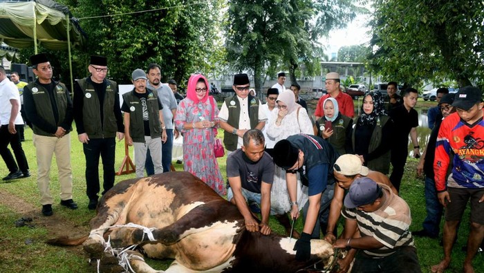 Gubsu Hassanudin menyaksikan penyembelihan hewan kurban di UPT Mekanisasi Pertanian Sumut, Jalan AH Nasution, Medan, Selasa (18/6/2024) (Dok. Diskominfo Sumut)