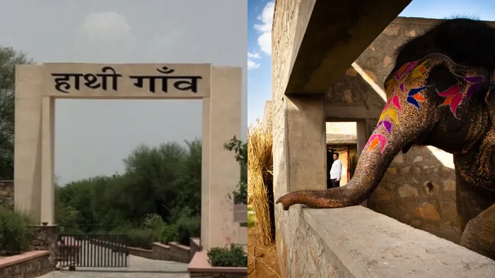 Hathi Gaon/News 24