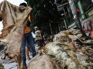 Idul Adha 2025 Berapa Hari Lagi?