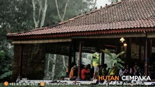 Kafe outdoor di Pasuruan: Kedai Hutan Cempaka.