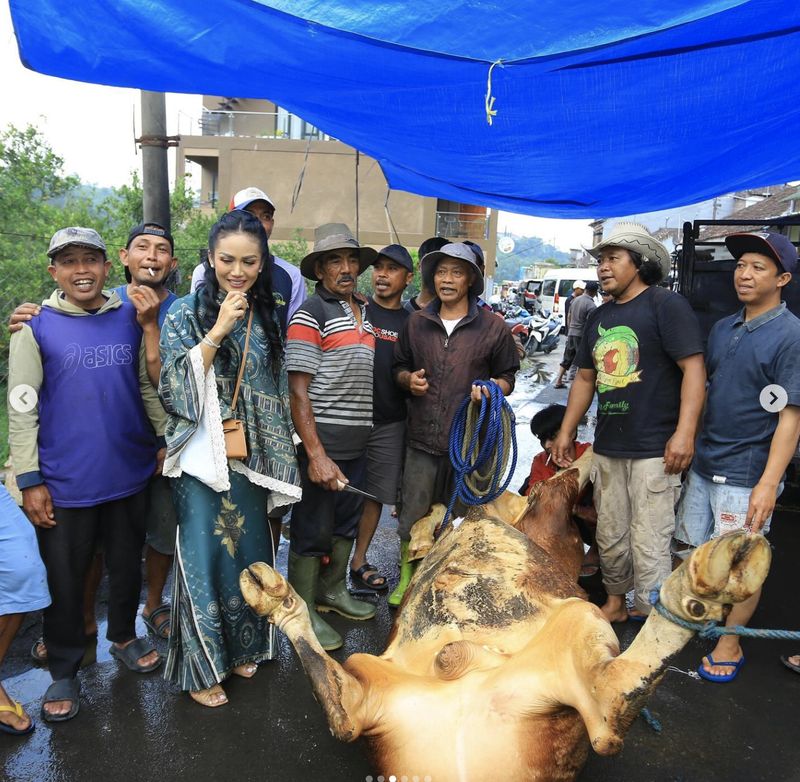 Momen artis kurban lebih dari satu hewan