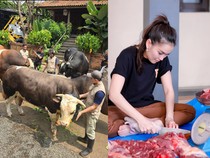 Keren! 5 Artis Ini Beli Hewan Kurban Sapi dan Kambing Lebih dari Satu