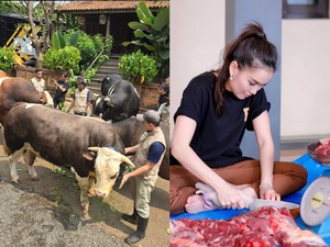 Keren! 5 Artis Ini Beli Hewan Kurban Sapi dan Kambing Lebih dari Satu