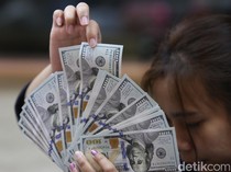 Dolar AS Hari Ini Masih Betah di Level Rp 16.489