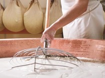 Viral Video Pembuatan Keju Parmesan yang Bikin Foodies Ngeri