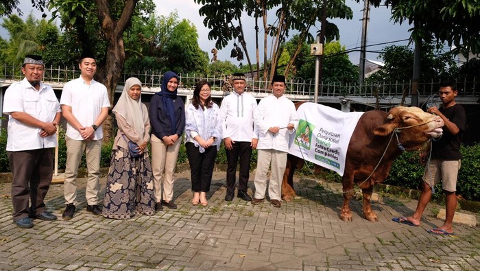 ACC turut memperingati Hari Raya Idul Adha dengan menyumbangkan ratusan hewan kurban. Diharapkan ini dapat membantu masyarakat.