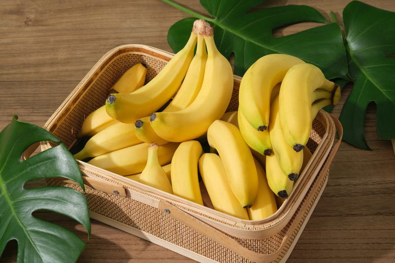 Pisang cavendish