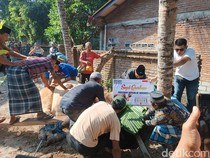 Penyembelihan Sapi Kurban Jokowi di Lombok Tengah Libatkan 30 Orang