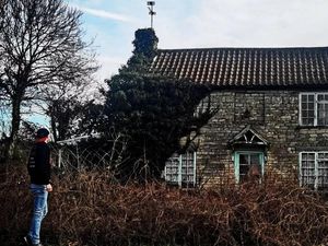 Orang Jepang Sayembara Cari Rumah Angker di RI, Netizen Iseng Usul Rumah Jokowi