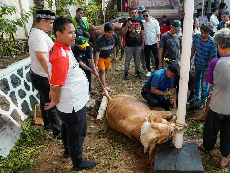 Semangat Berkurban untuk Berbagi Sesama