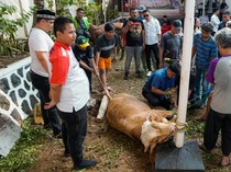 Semangat Berkurban untuk Berbagi Sesama