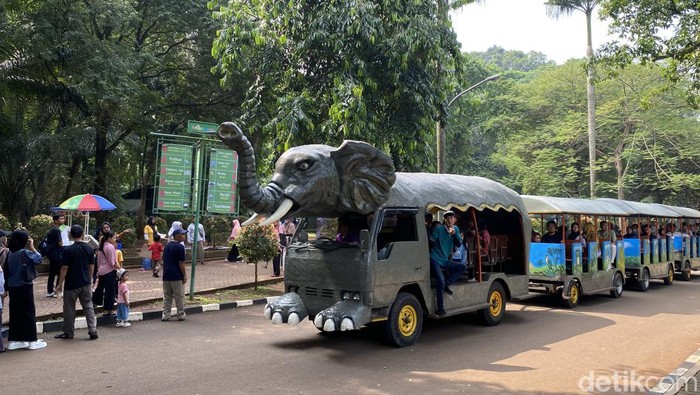 Suasana Ragunan di libur Idul Adha (Devi Puspitasari/detikcom)