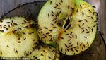 10 Tanda Restoran dengan Makanan Tak Enak dan Pelayanan Buruk