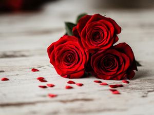 Love Bombing Adalah? Ini Pengertian, Ciri, dan Cara Menghindarinya