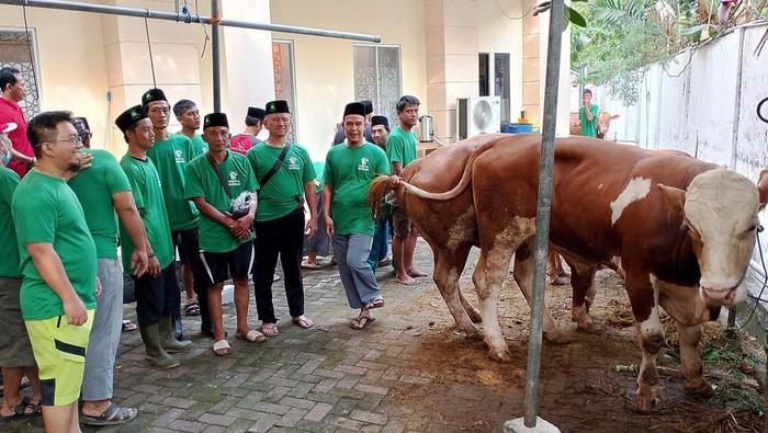 Berbagi Daging Kurban kepada Warga Cilincing Hari Raya Idul Adha diperingati dengan semangat berbagi daging kurban. Seperti warga Cilincing yang mendapat daging kurban dari sejumlah instansi.