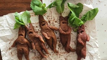 Foto: Boredpanda/@sibatable