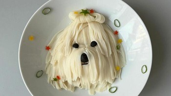 Foto: Boredpanda/@sibatable