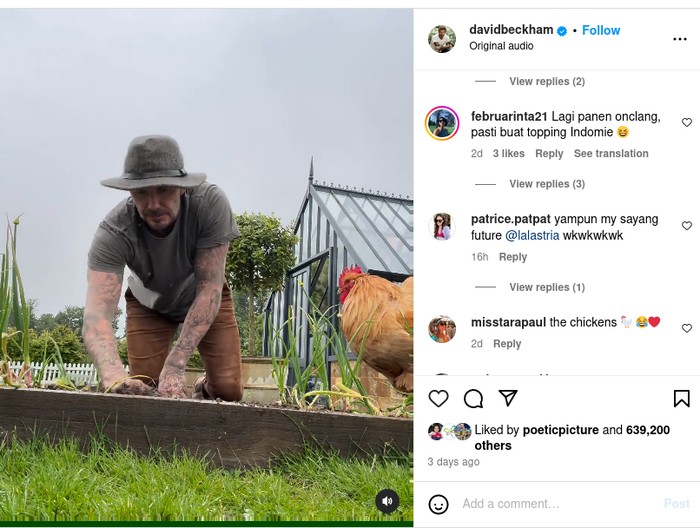 David Beckham berkebun