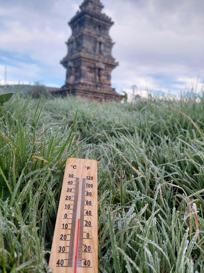 Embun membeku di komplek Candi Arjuna Dieng pagi ini (19/6/2024).