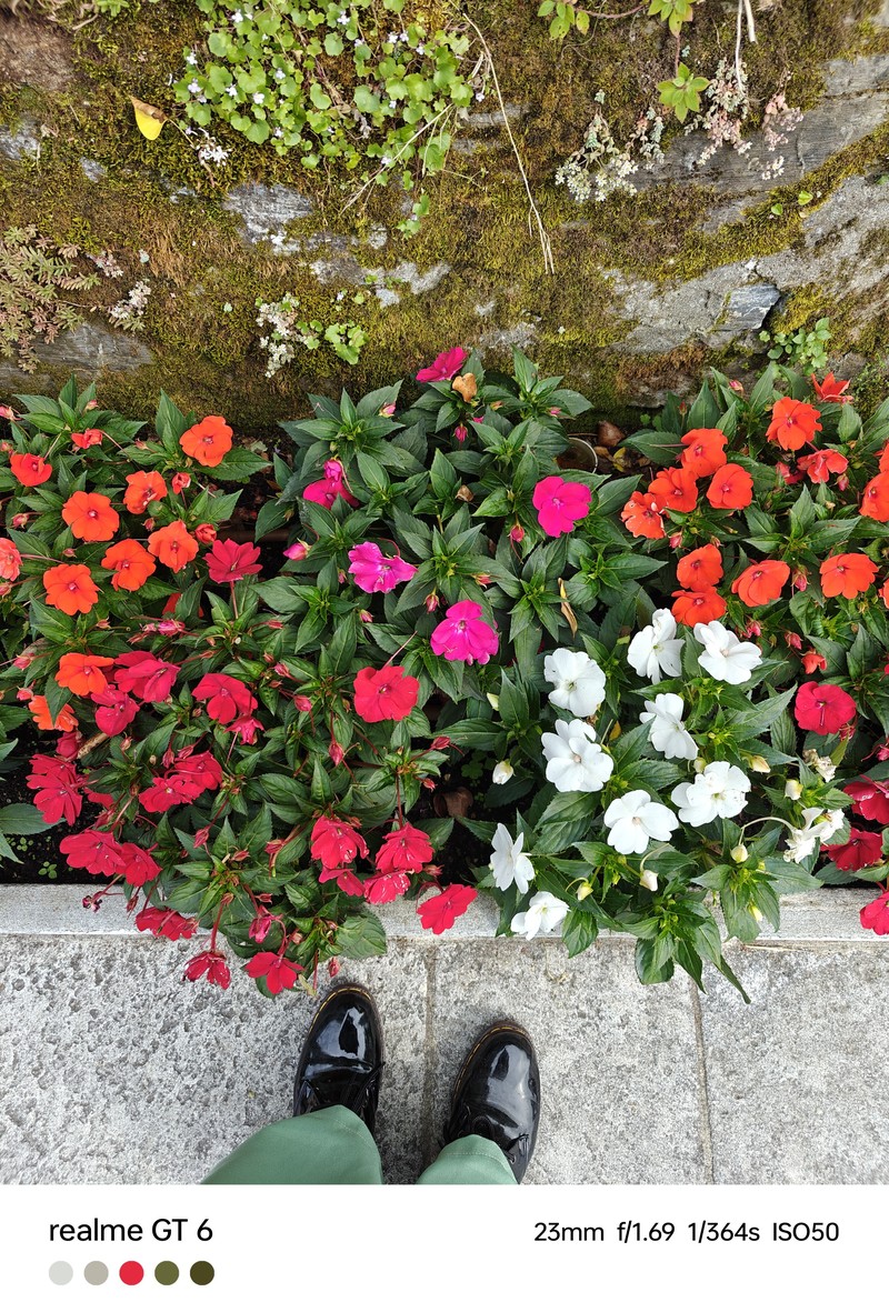 Hasil foto Realme GT 6