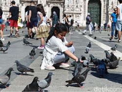 Hasil Foto Realme GT 6, Rilis 20 Juni