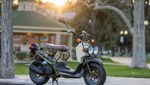 Ini Honda Ruckus, Motor Matik Bergaya Radikal yang Harganya Rp 47 Jutaan