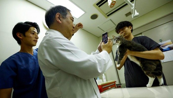 Nihon University professor and head of Nihon University Animal Medical Center Kazuya Edamura, 49, uses 'CatsMe!', an AI-driven smartphone application jointly developed by tech startup Carelogy and researchers at Nihon University that purports to tell when a cat is feeling pains, during an examination to a cat at the medical center in Fujisawa, south of Tokyo, Japan June 11, 2024.  REUTERS/Issei Kato