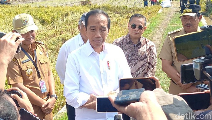 Presiden Joko Widodo (Jokowi) mengunjungi areal persawahan di Dusun Sangiran, Desa Krendowahono, Gondangrejo, Kabupaten Karanganyar, Rabu (19/6/2024).