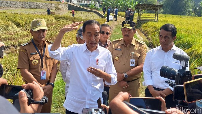 Presiden Joko Widodo (Jokowi) mengunjungi areal persawahan di Dusun Sangiran, Desa Krendowahono, Gondangrejo, Kabupaten Karanganyar, Rabu (19/6/2024).
