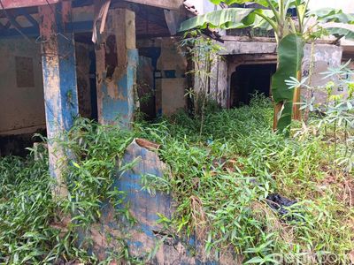 Penampakan Kampung Zombie di Tengah Jakarta