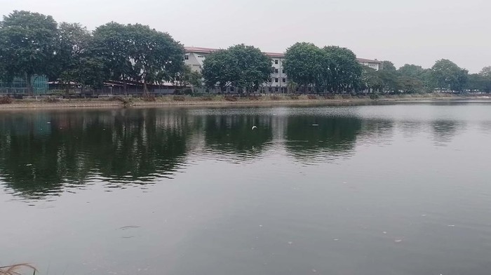 Menenangkan Diri Sambil Berolahraga di Sagoro Jogging Track Sagoro Jogging Track & Food Court jadi lokasi refreshing warga Jakarta Utara. Pengunjung bisa berolahraga sambil berburu kuliner di sini.